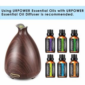img 3 attached to URPOWER Essential Oils Gift Set with Upgraded 6 Aromatherapy Oils: Lavender, 🌿 Peppermint, Sweet Orange, Eucalyptus, Tea Tree, and Lemongrass - 100% Pure and 10ml Each