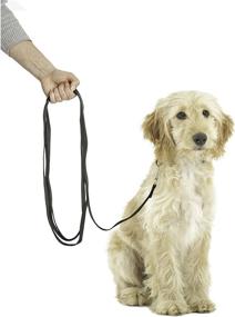 img 3 attached to Puppy Training Line by COA: Enhancing Canine Education