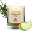 10 oz jar candle: apple balsam pine made with soy wax logo