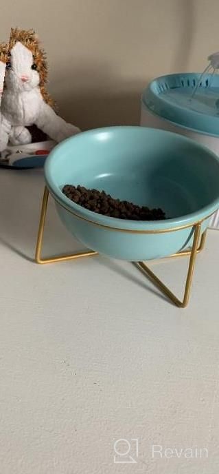 img 1 attached to Elevated Pet Feeding Bowl With Gold Iron Stand - Large Glass Dish For Comfortable Cat And Dog Feeding Of Food And Water review by Alexis Queen