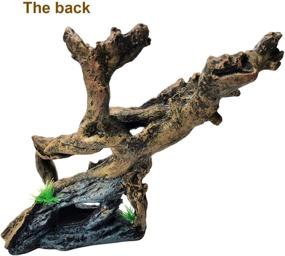 img 3 attached to 🐠 Enhance Your Fish Tank with PINVNBY Resin Driftwood Aquarium Decoration: Tree Branch Trunk Ornament for Betta, Shrimp, Fish Fry, Gecko, Lizard, Complete with Holes and Artificial Aquatic Plants