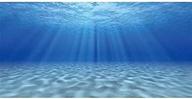 awert undersea background underwater polyester fish & aquatic pets : aquarium decor logo