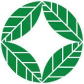 bonsai partners logo