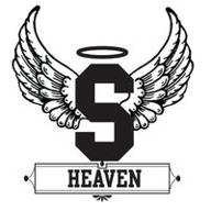sports heaven logo