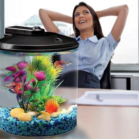 img 1 attached to Cylindrical BettaView 1.5-Gallon Aquarium by Koller Products: Enhance your Aquarium Experience with 7 Colors LED Lighting, Simple Setup and Maintenance