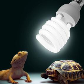 img 4 attached to Briignite UVB Reptile Light Bulb: 15.0, 30W, E26 Base, Compact Fluorescent Lamp for Tropical Reptiles