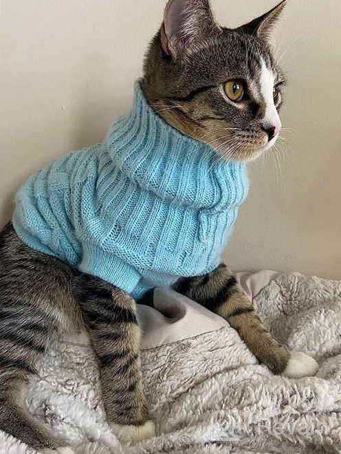 img 1 attached to Cozy Up Your Feline Friend With Our Turtleneck Cat Sweater – Perfect For Kitty, Chihuahua, Teddy, Poodle, Pug And Small Dogs! review by Brian Pius