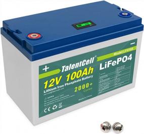 img 4 attached to Talentcell 12V 100Ah LiFePO4 Deep Cycle Rechargeable Battery Pack LF4160, 2000+ Cycles With Built-In 100A BMS
