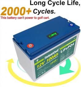 img 3 attached to Talentcell 12V 100Ah LiFePO4 Deep Cycle Rechargeable Battery Pack LF4160, 2000+ Cycles With Built-In 100A BMS