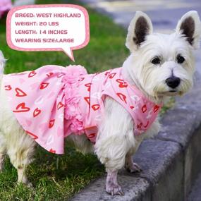 img 1 attached to KYEESE Pink Dog Dresses Valentine'S Day With Hearts Pattern Flowers Decor Elegant Princess Doggie Dress For Small Dogs Winter Spring Dog Apparel
