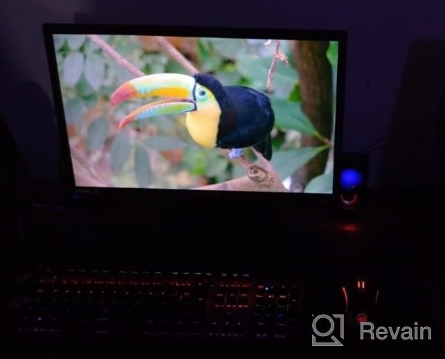 img 1 attached to Sceptre Gaming Monitor with Built-In Speakers - 22", 75Hz, Anti-Glare Screen, Flicker-Free, Adaptive Sync, E229W-19203RT review by Tim Waldron