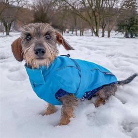 img 3 attached to 🐶 Stay Stylish and Protected with the DJANGO City Slicker All-Weather Dog Jacket & Water-Repellent Raincoat Featuring Reflective Piping