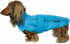 img 4 attached to 🐶 Stay Stylish and Protected with the DJANGO City Slicker All-Weather Dog Jacket & Water-Repellent Raincoat Featuring Reflective Piping