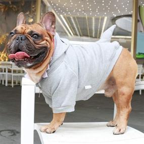 img 1 attached to 🐶 Easter, Halloween, and Christmas Dog Costumes - iChoue Clothes & Hoodies