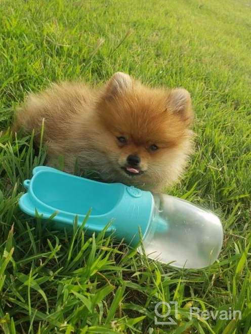 img 1 attached to 🐾 SYCON Dog Water Bottle: Portable Leak-Proof Pet Water Dispenser for Walks, Hikes, and Travel - BPA Free Food Grade - Lightweight and Convenient (18oz, Blue) review by Adam Vang