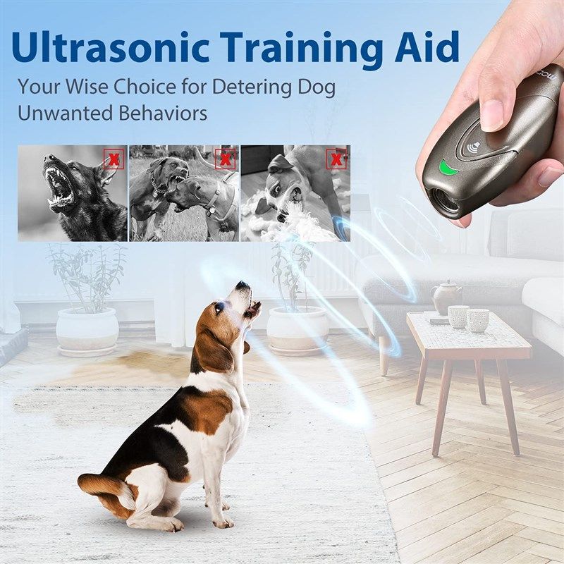 Modus dog ultrasonic trainer reviews sale