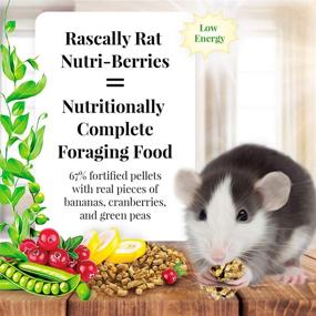 img 3 attached to 🐀 Lafeber Rascally Rat Nutri-Berries: Premium Non-GMO & Human-Grade Rat Food!