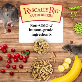 img 1 attached to 🐀 Lafeber Rascally Rat Nutri-Berries: Premium Non-GMO & Human-Grade Rat Food!