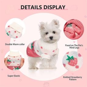 img 1 attached to Strawberry Sweater Clothes Costume Pullover Dogs better for Apparel & Accessories
