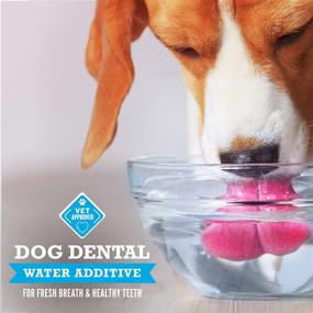 img 1 attached to 🐶 PoochiePets Dog Dental Water Additive: Fresh Breath for Dogs - Twice the Size! Vet Approved - 32 oz Bottle