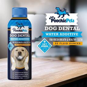 img 3 attached to 🐶 PoochiePets Dog Dental Water Additive: Fresh Breath for Dogs - Twice the Size! Vet Approved - 32 oz Bottle