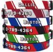 buttonsmith sporty stripe dog collar - made in usa - fadeproof printing, rustproof buckle, 6 sizes logo