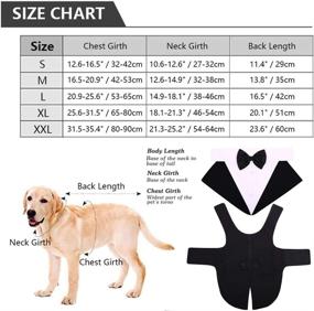 img 3 attached to IDOMIK Dog Tuxedo Suit: Formal Vest Set with Bow Ties, Collar, and Bandana Scarf - Perfect Costume/Dress for Wedding, Birthday Party - For Small, Medium, Large Breeds - Black