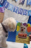 img 1 attached to Celebrate Your Pup'S Big Day With TCBOYING'S 11-Piece Dog Birthday Set – Blue Bandana, Hat, Scarf, Flags, Balloons & More! review by Greg Quinit