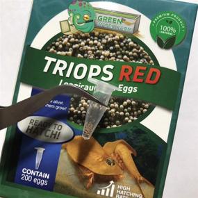 img 2 attached to Greenwaterfarm Triops Red Longicaudatus Eggs – Ideal for Hatching & Cultivation in Pet Care and Science Projects (200 Pure Eggs)
