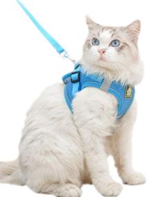 img 4 attached to Domkim Soft Mesh No Pull Dog Harness and Leash Set - Ideal 🐾 for Small/Medium Dogs/Cats - Escape Proof Cat Harness and Leash for Walking - Blue