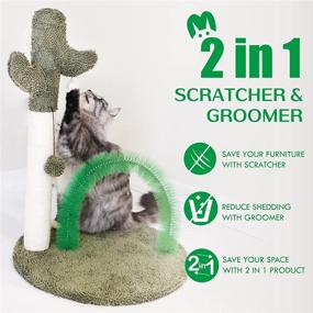 img 3 attached to 🐱 TobyMari Cat Scratching Post &amp; Groomer - Indoor Cat Scratch Post, 27&#34; Cat Scratch Post &amp; Self Arch Groomer, Cactus Cat Scratcher with Natural Sisal Rope