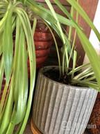 img 1 attached to Retro Black 4 Inch Ceramic Planters With Drainage Hole & Bamboo Tray - Perfect For Indoor Succulents, Flowers, Herbs, & Aloes (4 Pack) review by Jaime Benenati
