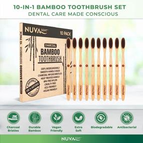 img 2 attached to 🌱 Compostable Bamboo Toothbrushes with Charcoal Bristles - Eco-Friendly, Natural, Vegan, Biodegradable (Pack of 10)