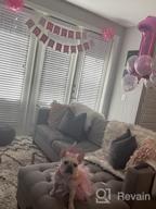 img 1 attached to Pamper Your Pooch With 12 Piece Pink Themed Dog Birthday Party Supplies: Hats, Tutus, Scarfs, Banner And Outfit! review by Brandon Daughenbaugh