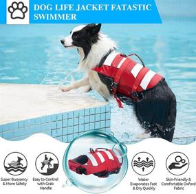 img 3 attached to Fragralley Dog Life Jacket: Ripstop Dog Life Vests for Swimming, Boating, and Rescue - High Visibility with Handle for Small, Medium, and Large Size Dogs