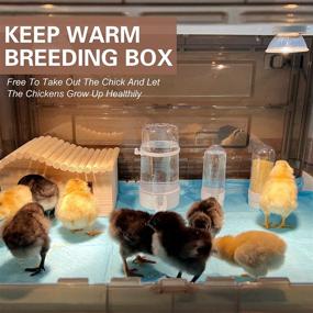 img 1 attached to HKDQ Chick Brooder Chicks Heater