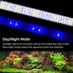 img 2 attached to 🐠 Enhance your Fish Tank with PRONORO LED Aquarium Light: 22W Full Spectrum with Timer and Dimmable Function, Ideal for Freshwater Tanks (24-35inch)