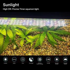 img 3 attached to 🐠 Enhance your Fish Tank with PRONORO LED Aquarium Light: 22W Full Spectrum with Timer and Dimmable Function, Ideal for Freshwater Tanks (24-35inch)