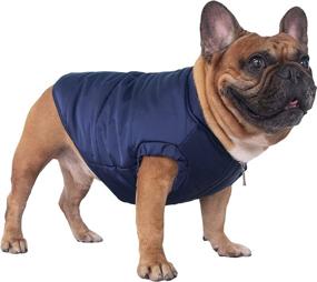 img 4 attached to 🐶 Stay Cozy in Style: ICHOUE Dog Cotton Padded Coat for Cold Weather