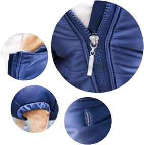 img 1 attached to 🐶 Stay Cozy in Style: ICHOUE Dog Cotton Padded Coat for Cold Weather