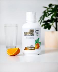 img 1 attached to MAXLER Liquid Chlorophyll Super Concentrated фл., 450 мл, цитрусовый