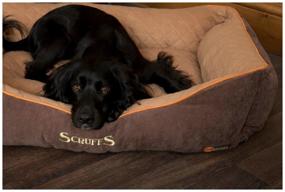 img 2 attached to Bed for dogs and cats Scruffs Thermal Box Bed 60x50 cm 60 cm 50 cm black