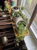 картинка 1 прикреплена к отзыву ZOUTOG 12 Pack Succulent Pots: Mini Ceramic Flower/Cactus Planters with Drainage Hole - Small pots for Plants (Plants Not Included) от Mike Pettigrew