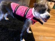 img 1 attached to Large Pink Surblue Dog Life Jacket: Pet Safety For Swimming, Boating & Beach Trips review by Patrick Carlson