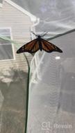 img 1 attached to 23.6 Inch Pop-Up Insect & Butterfly Habitat Cage By RESTCLOUD review by Chris Estes