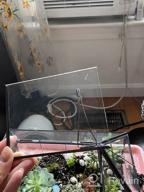 img 1 attached to 🌿 Ferrisland Glass Plant Terrarium Container: Perfect Small Succulent Wardian Case for Indoor Tabletop Decor & DIY Gifts - 5.0"x4.3"x4.3 review by Sean Pierre