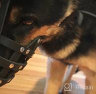 картинка 1 прикреплена к отзыву Leather Basket Dog Muzzle For German Shepherd, Dalmatian, Doberman Setter & Medium-Large Breeds - Black/Brown (L) от Brian Hrdlicka