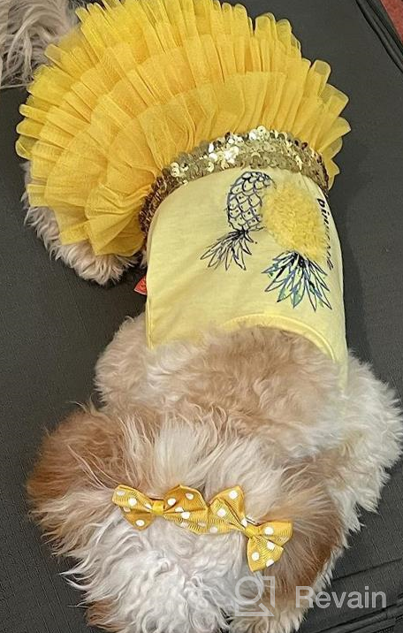 img 1 attached to 🦄 KYEESE Unicorn Tiered Layer Tutu Tulle Dog Birthday Party Dress with Sequins - Perfect for Small Dogs review by Kenny Stephens