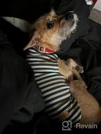 картинка 1 прикреплена к отзыву KYEESE 2Pack Dog Coat Warm Turtleneck Stretchy Dog Sweater Super Soft Dog Cold Weather Coat For Small Dogs In Sleeveless Design, Grey,L от Michael Eldridge