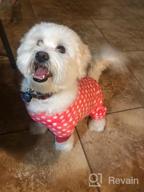 img 1 attached to 🐾 KYEESE Polka Dot Dog Pajamas: Soft & Stretchable Material | Onesie Style Velvet PJs for Small and Medium Dogs review by Ricardo Anderson
